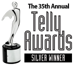 telly_site_bugs_silver